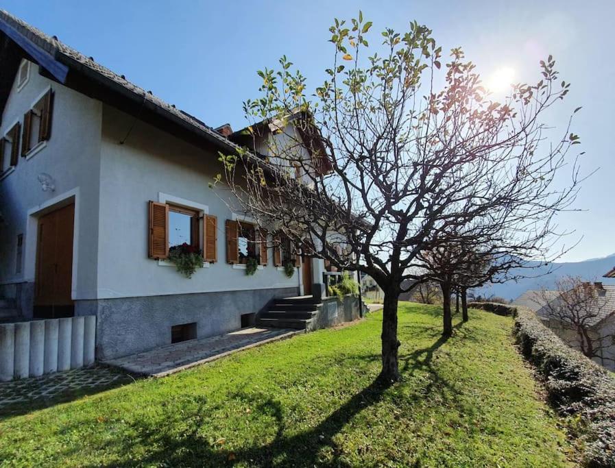 House Pucnk-Beautiful Countryside Villa Zelezniki Екстериор снимка