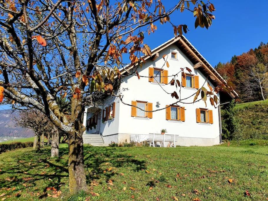 House Pucnk-Beautiful Countryside Villa Zelezniki Екстериор снимка