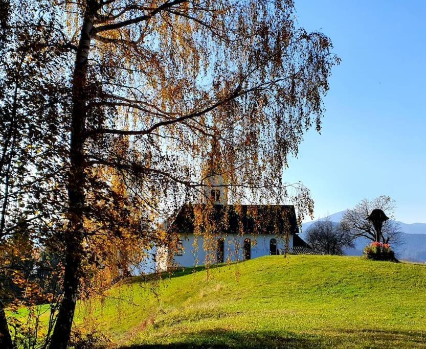 House Pucnk-Beautiful Countryside Villa Zelezniki Екстериор снимка